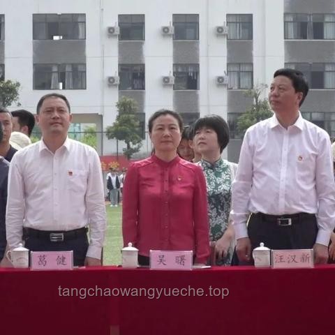 《锦绣芳华》剧与芳华茶叶的对比分析